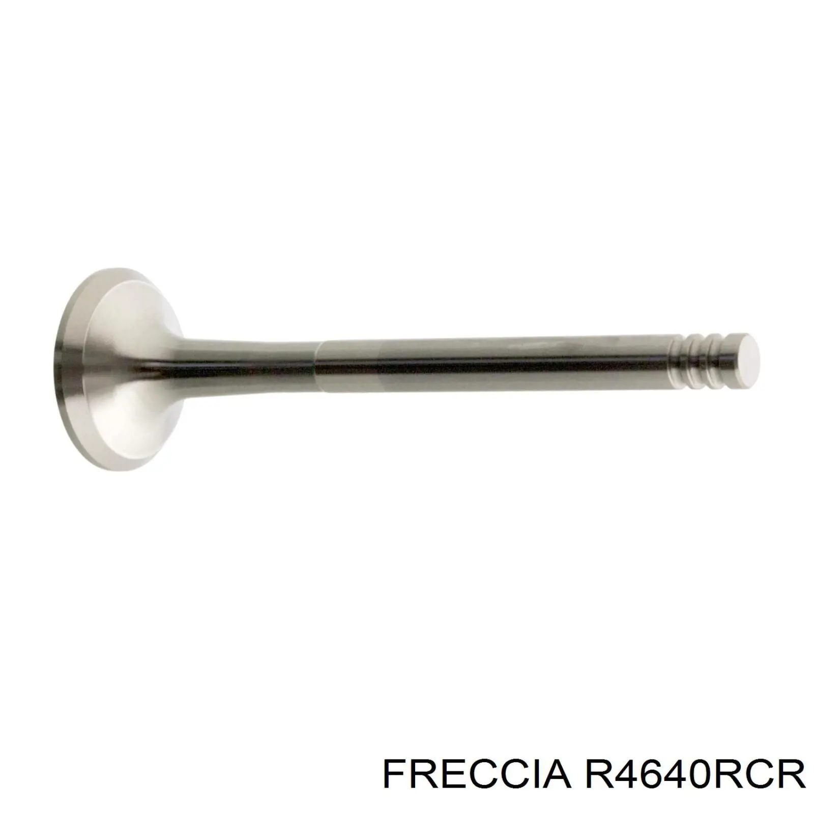 R4640RCR Freccia клапан випускний