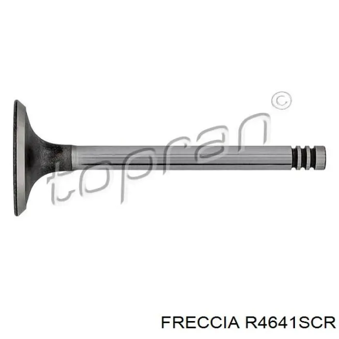 Купити R4641SCR Freccia Клапан впускний