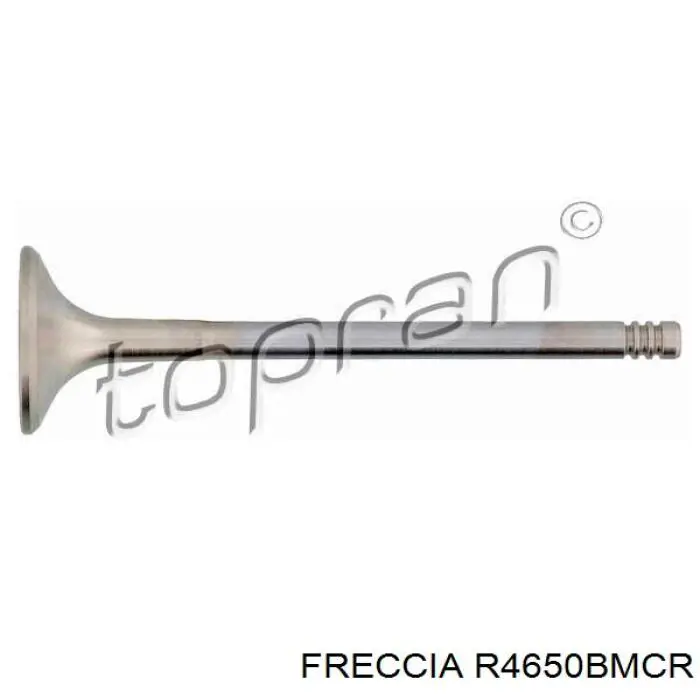 Купити 4650BMCR Freccia Клапан випускний