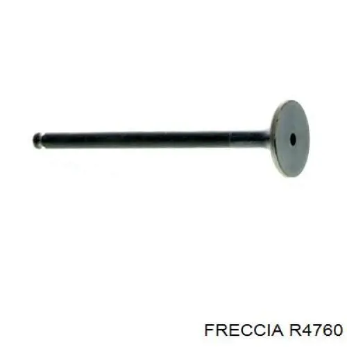 R4760 Freccia Клапан випускний