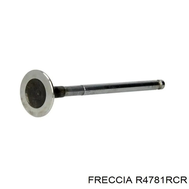 Купити R4781RCR Freccia Клапан випускний