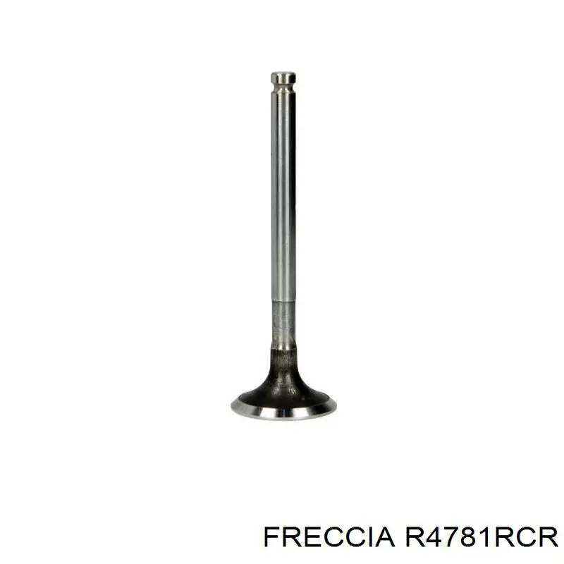 4781RCR Freccia клапан випускний
