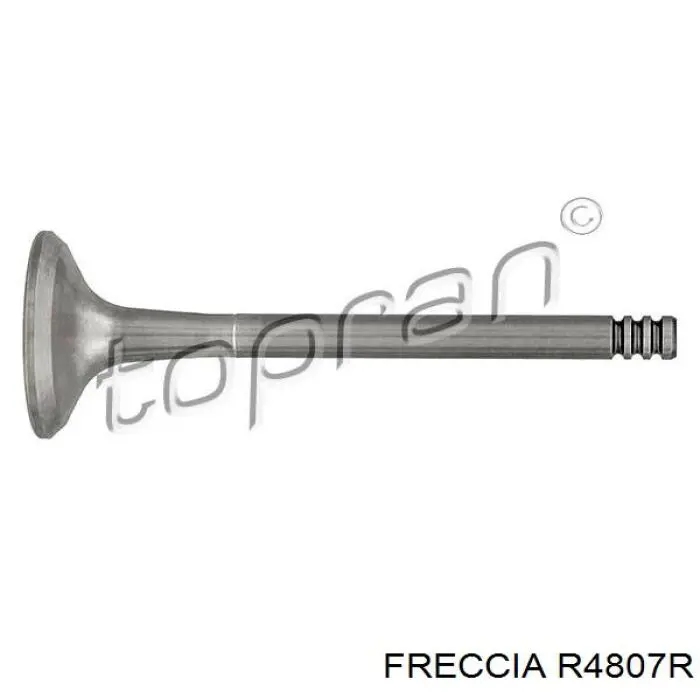 Клапан випускний Skoda Felicia 1 (791, 6U1) (Шкода Феліція)