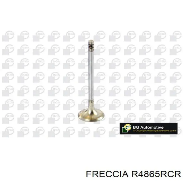 R4865RCR Freccia клапан випускний