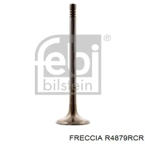 Купити 4879RCR Freccia Клапан випускний