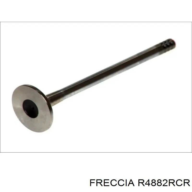 Купити R4882RCR Freccia Клапан випускний
