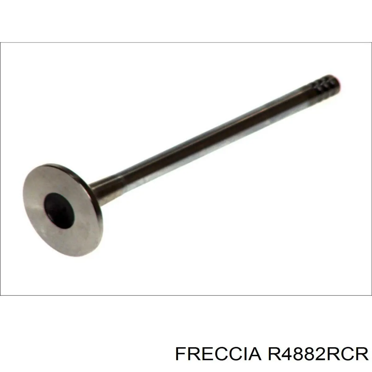 R4882RCR Freccia Клапан випускний