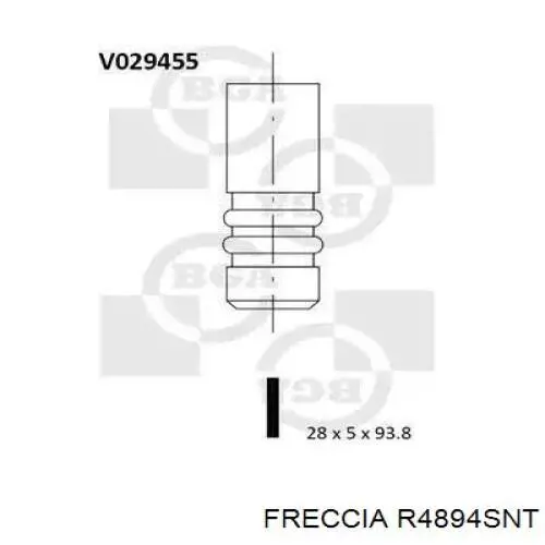 R4894SNT Freccia клапан впускний