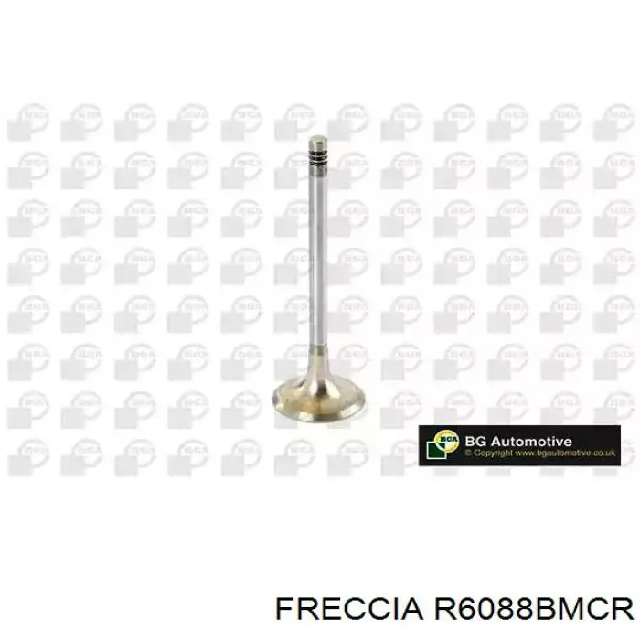 Купити R6088BMCR Freccia Клапан впускний
