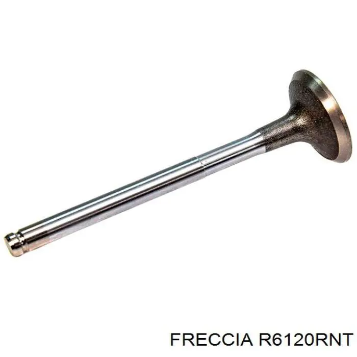 R6120RNT Freccia клапан випускний