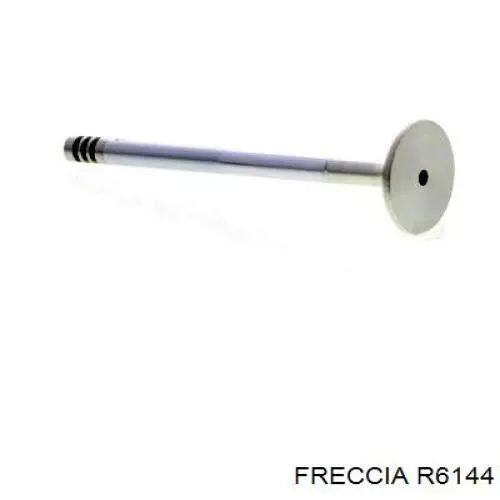 6144BMCR Freccia клапан випускний