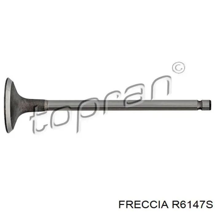 R6147S Freccia клапан впускний
