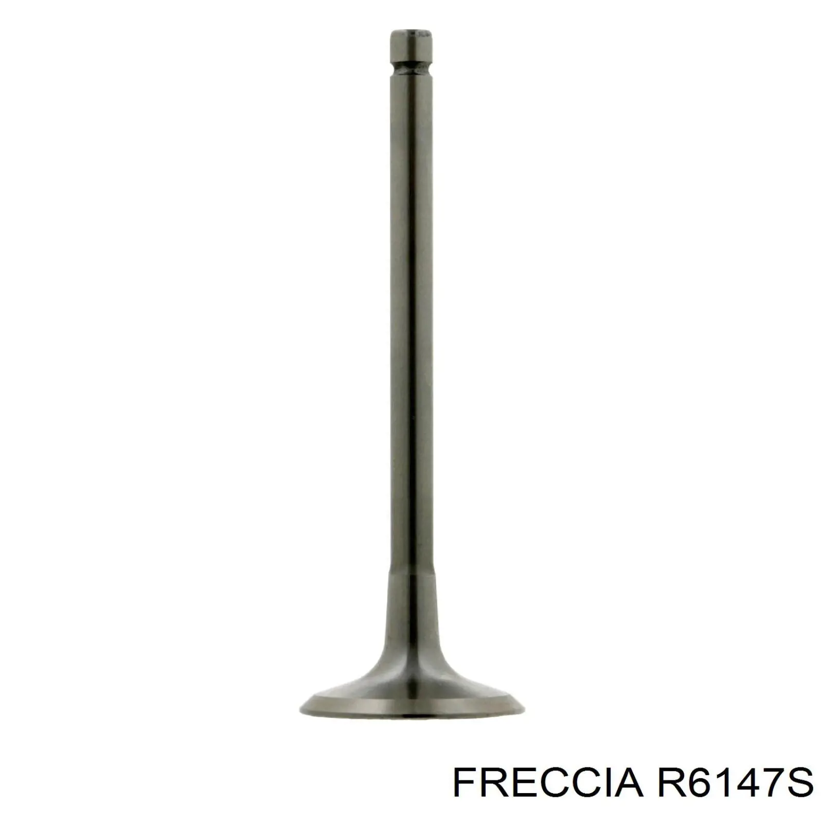 Купити R6147S Freccia Клапан впускний