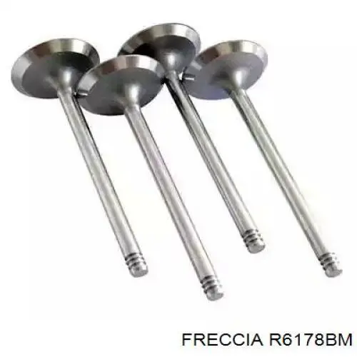 Купити R6178BM Freccia Клапан випускний