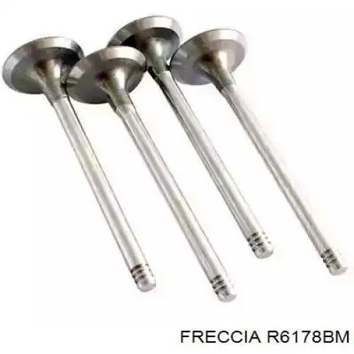 FR6178 Freccia клапан випускний