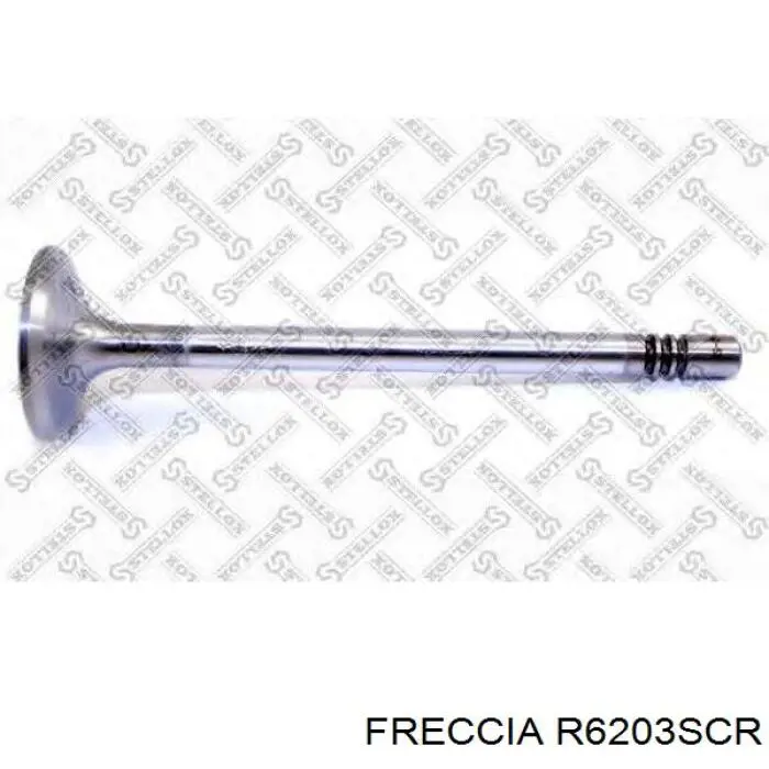 Клапан впускний 6203 Freccia