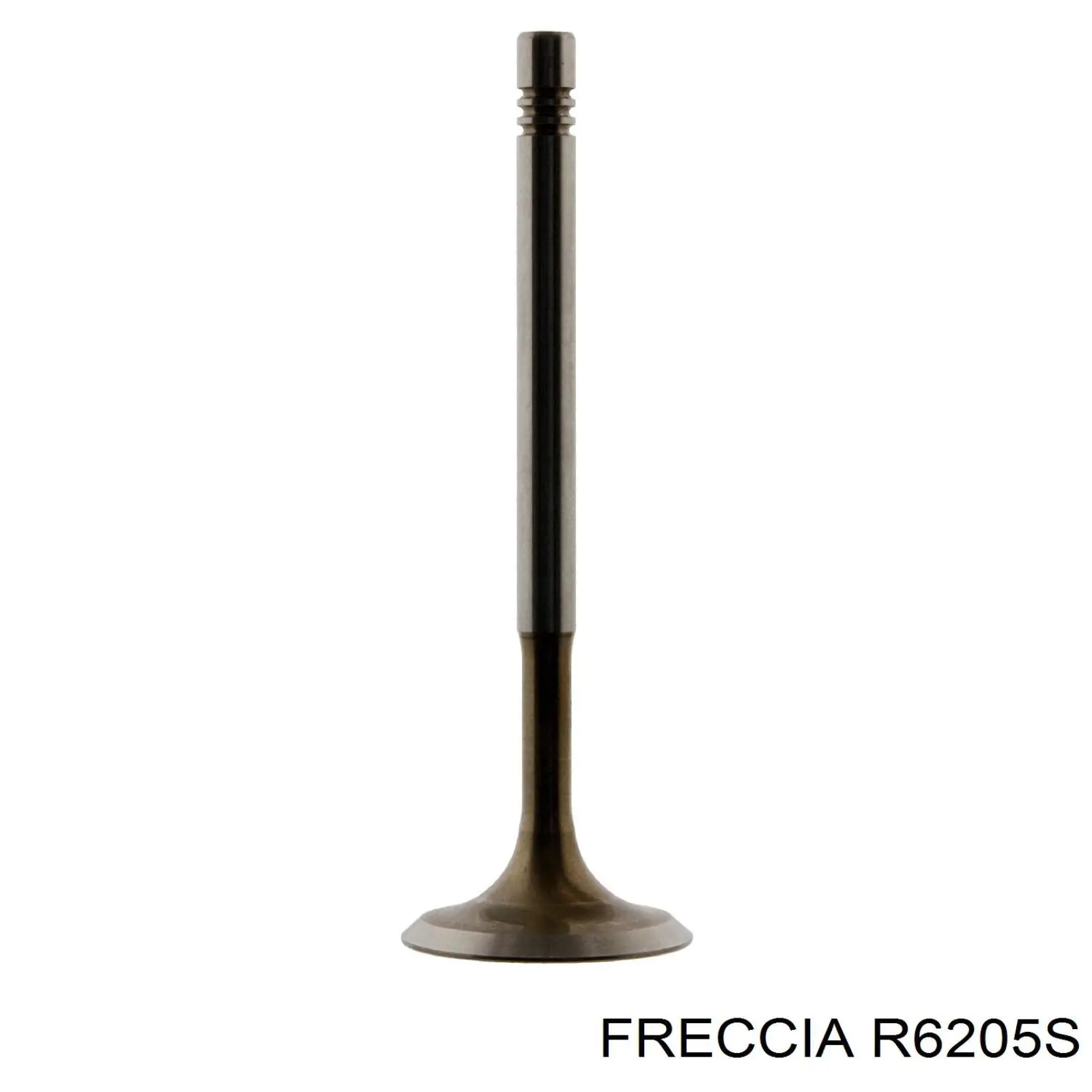 R6205S Freccia клапан впускний