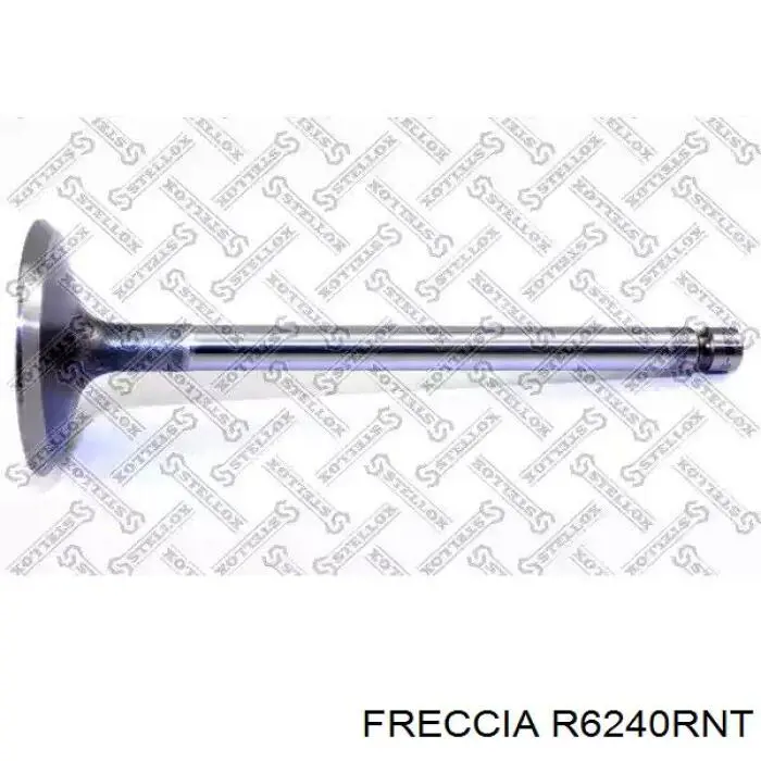 R6240RNT Freccia Клапан випускний