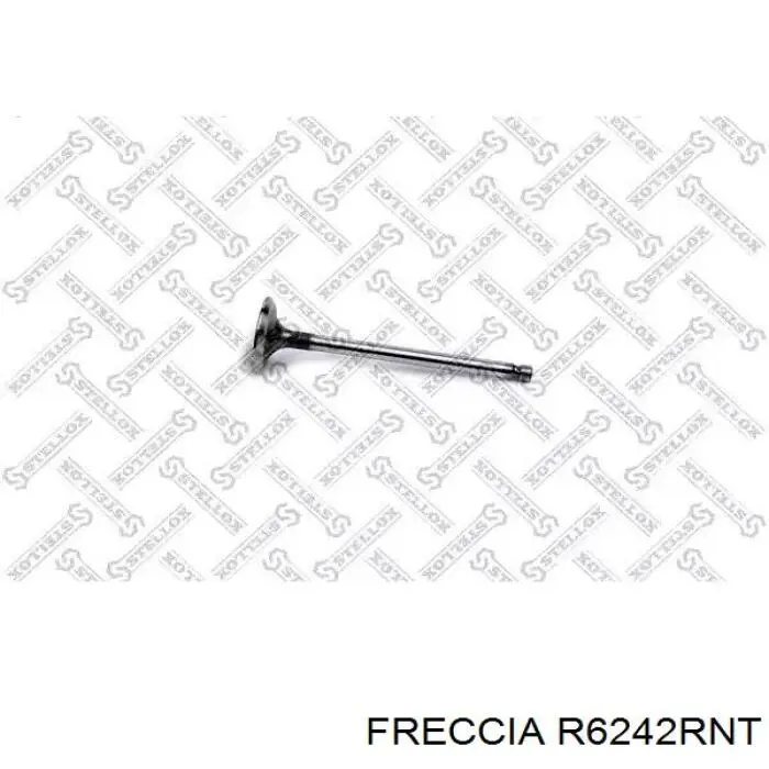 Вихлопний клапан Freccia R6242RNT ціна, від 5.75 USD