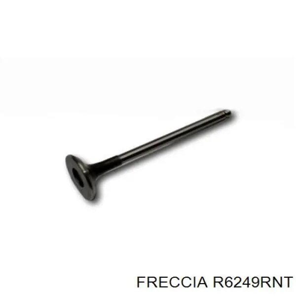 Купити R6249RNT Freccia Клапан випускний