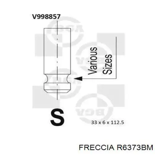 R6373BM Freccia клапан випускний