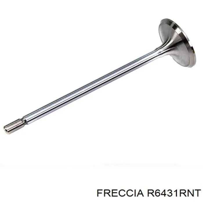 R6431RNT Freccia клапан випускний
