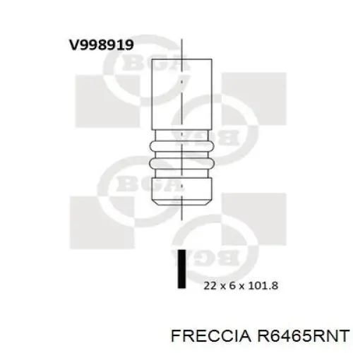 Купити R6465RNT Freccia Клапан випускний