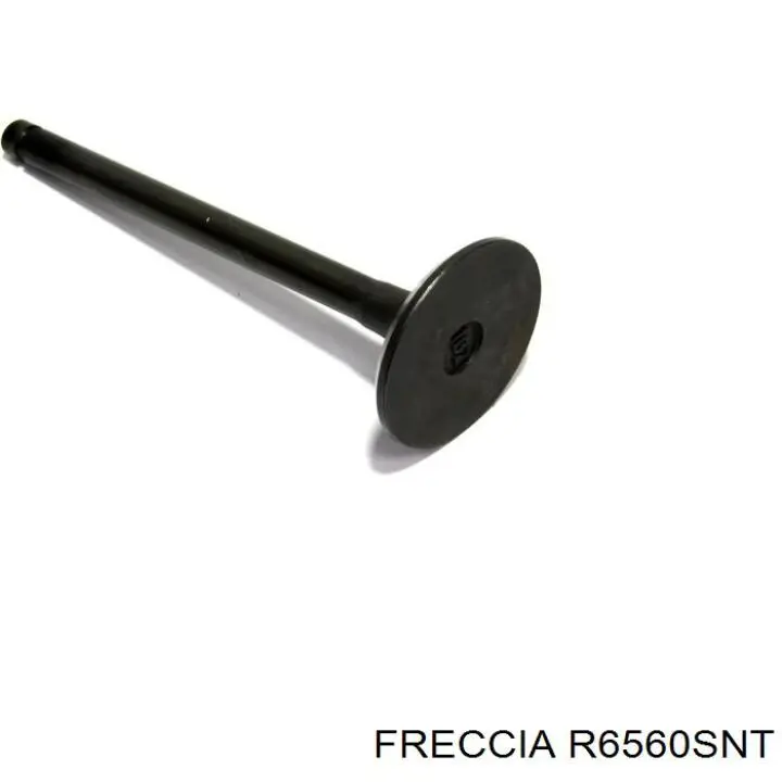 R6560SNT Freccia клапан впускний