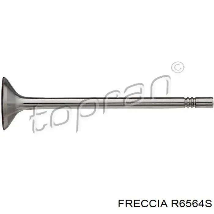 Купити R6564S Freccia Клапан впускний