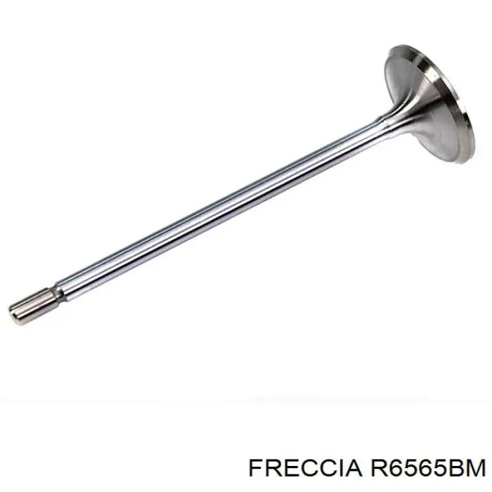 R6565BM Freccia клапан випускний