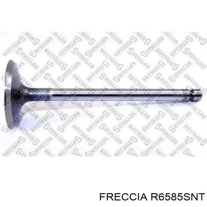 R6585SNT Freccia клапан впускний