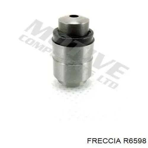 R6598 Freccia клапан випускний