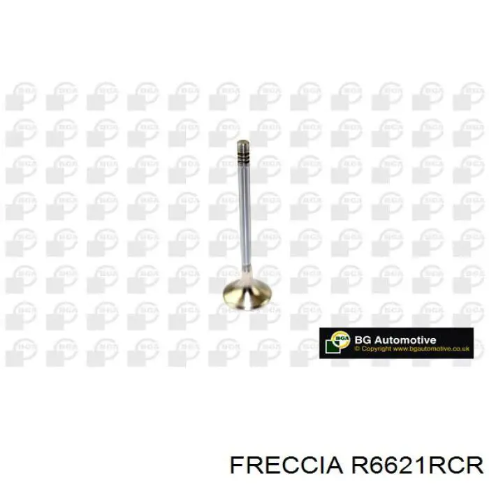 Купити R6621RCR Freccia Клапан випускний