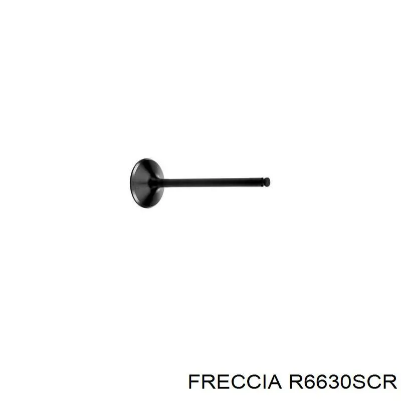 6630SCR Freccia Клапан впускний