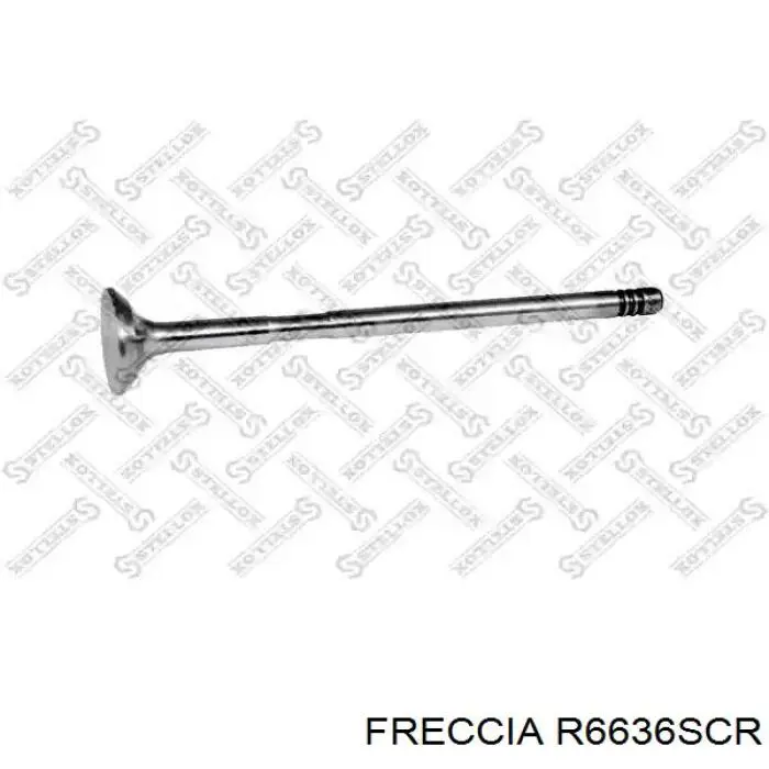 R6636SCR Freccia клапан впускний