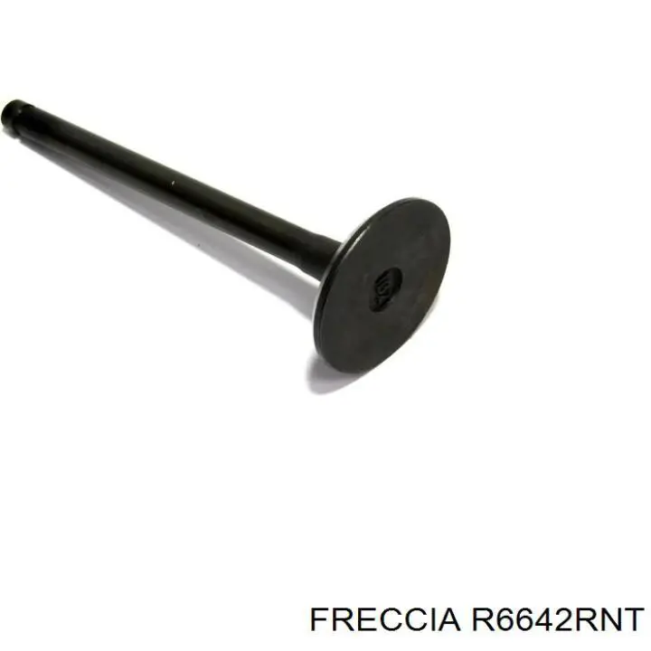 R6642RNT Freccia клапан випускний
