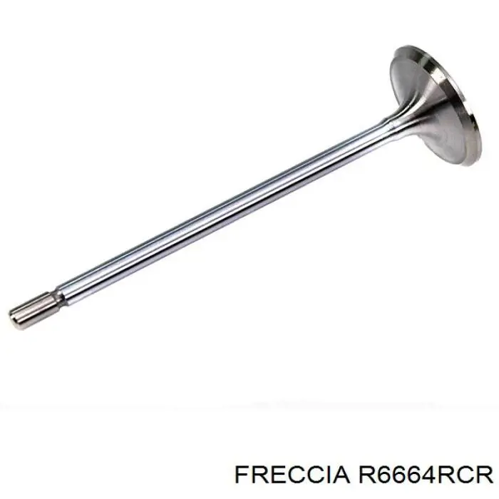 R6664RCR Freccia клапан випускний