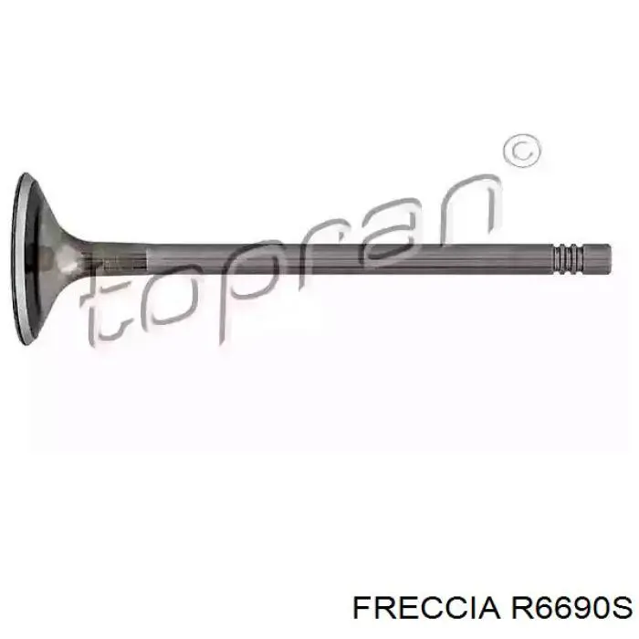 Клапан впускний Skoda Octavia (A7, 5E3) (Шкода Октавіа)