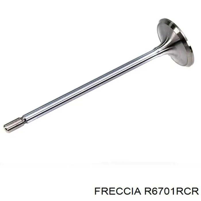 FR6701 Freccia клапан випускний