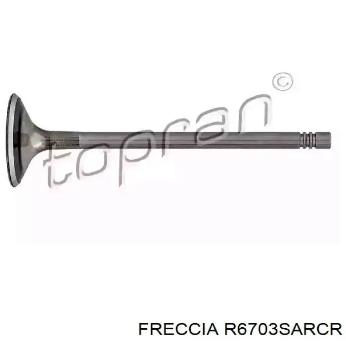 Клапан впускний Freccia R6703 ціна, від 7.60 USD