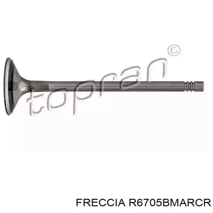 R6705BMARCR Freccia клапан випускний