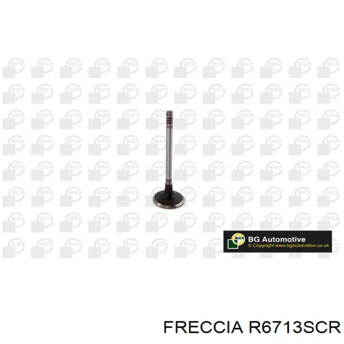 Купити R6713SCR Freccia Клапан впускний