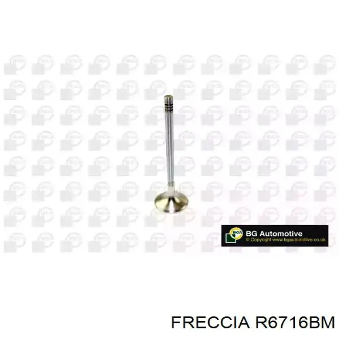 Купити R6716BM Freccia Клапан випускний