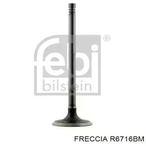 R6716BM Freccia клапан випускний