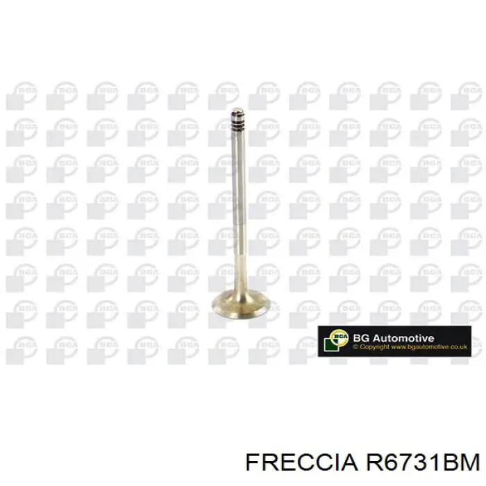 Купити R6731BM Freccia Клапан випускний