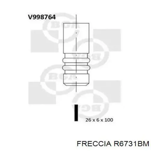 R6731BM Freccia клапан випускний