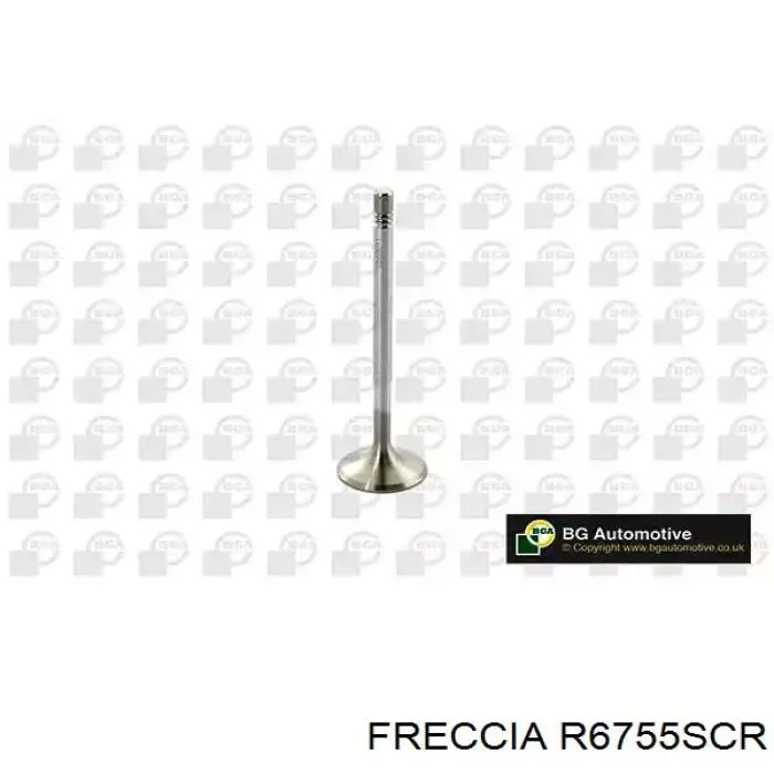Купити R6755SCR Freccia Клапан впускний