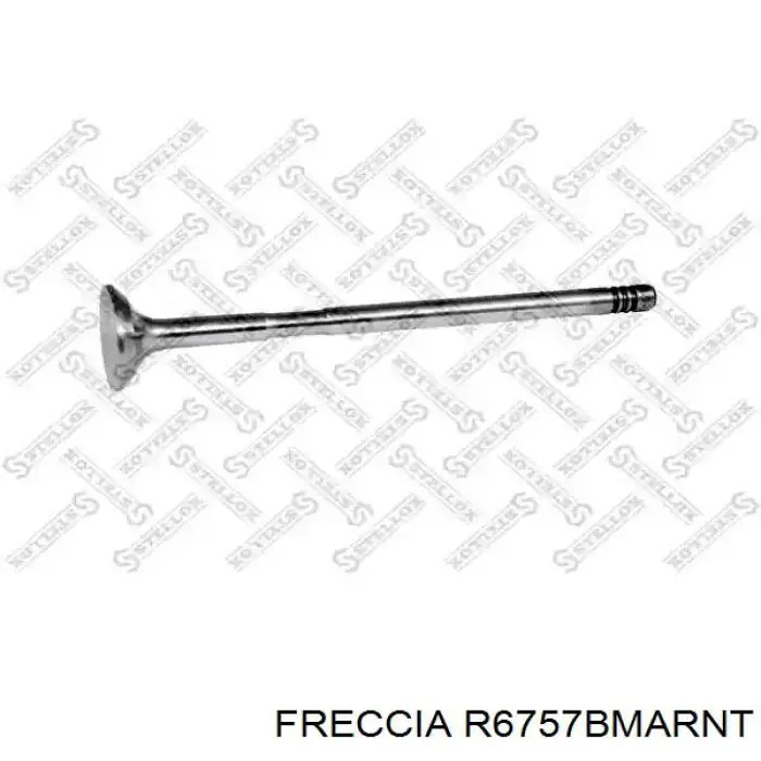 Вихлопний клапан Freccia R6757BMARNT ціна, від 11.10 USD