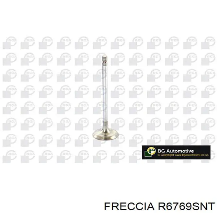 Купити R6769SNT Freccia Клапан впускний
