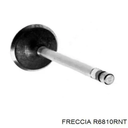 Купити R6810RNT Freccia Клапан випускний
